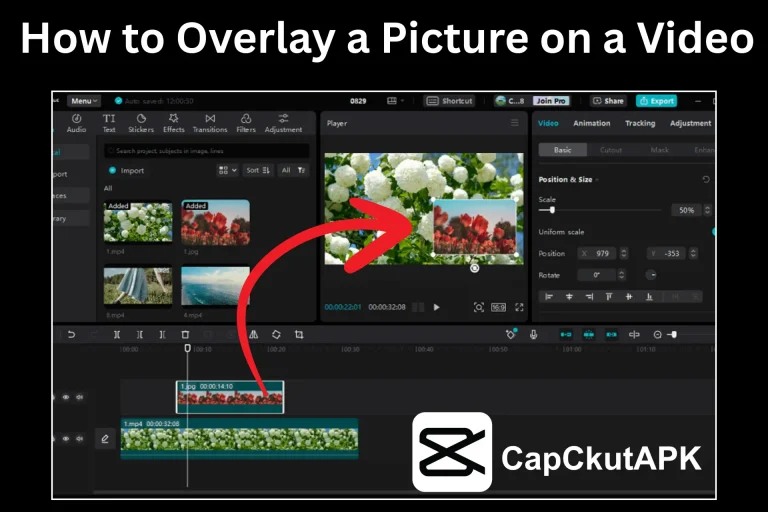 How to Overlay a Picture on a Video in CapCut