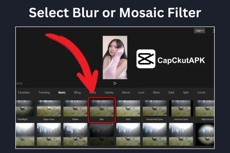 Select Blur or Mosaic Filter