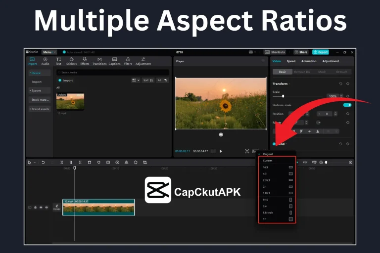 CapCut AI Video Cropper - Free Edit Videos Online in 2025 2 CapCut Pro offers Multiple Aspect Ratios